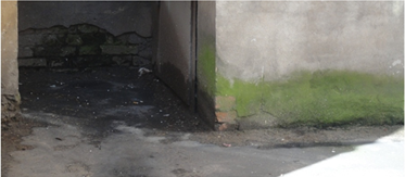 Фото цокольной части кирпичной стены здания с проявлением следов замачивания